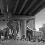 Photography: INHERIT THE DUST, China by Nick Brandt