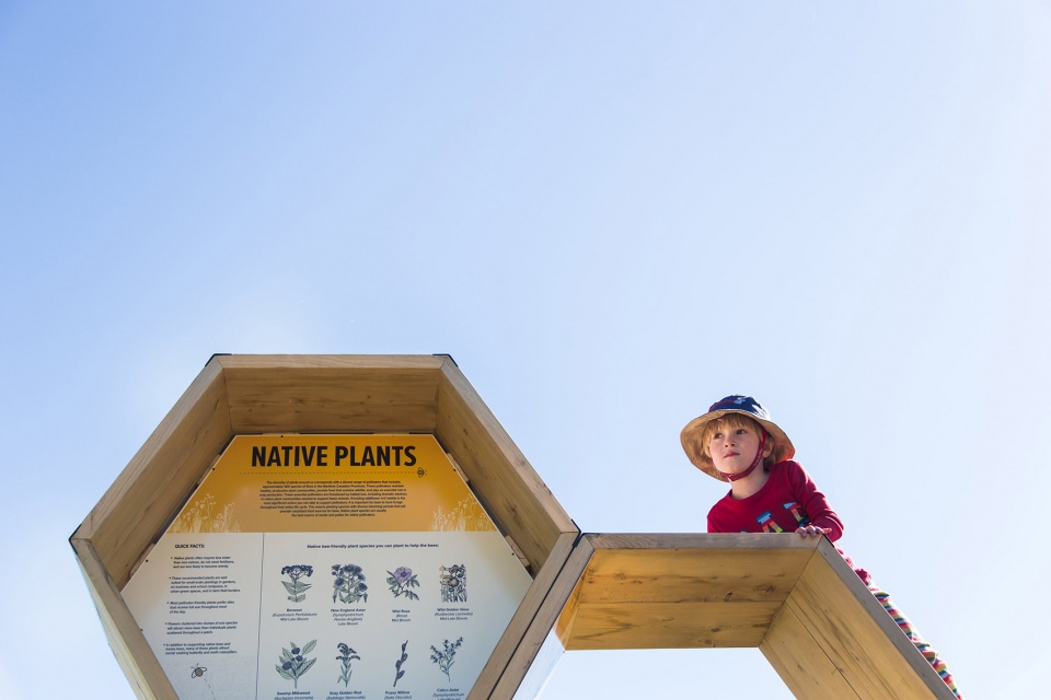 Urban Beehive Project by Nine Yards Studio