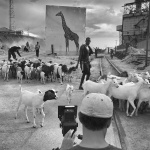 Photography: INHERIT THE DUST, China by Nick Brandt