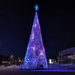 英里高树 - 动态灯光装置，丹佛 / Brut Deluxe