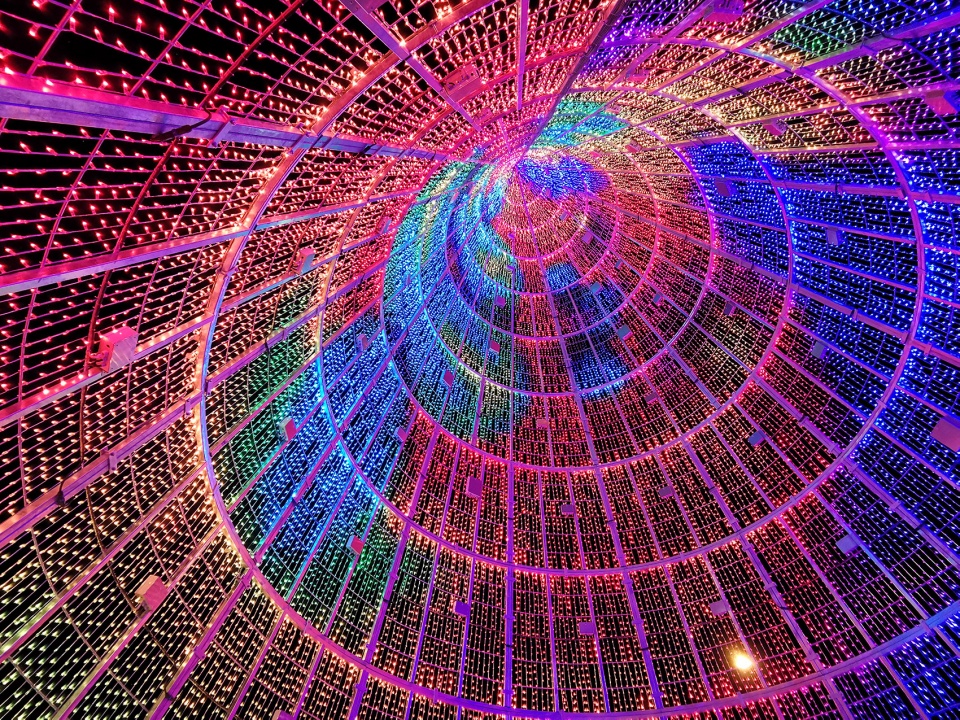 mile high tree dynamic light programming by brut deluxe