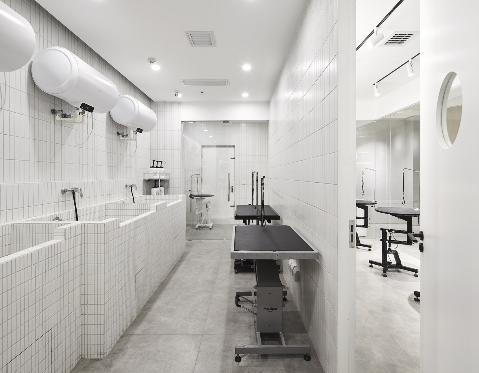 noblepets store china by nazodesign studio