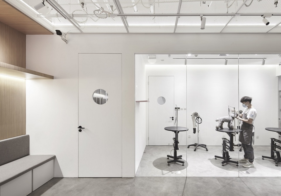 noblepets store china by nazodesign studio