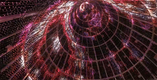 high tree dynamic light programming by brut deluxe