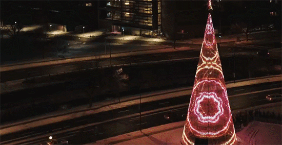 high tree dynamic light programming by brut deluxe