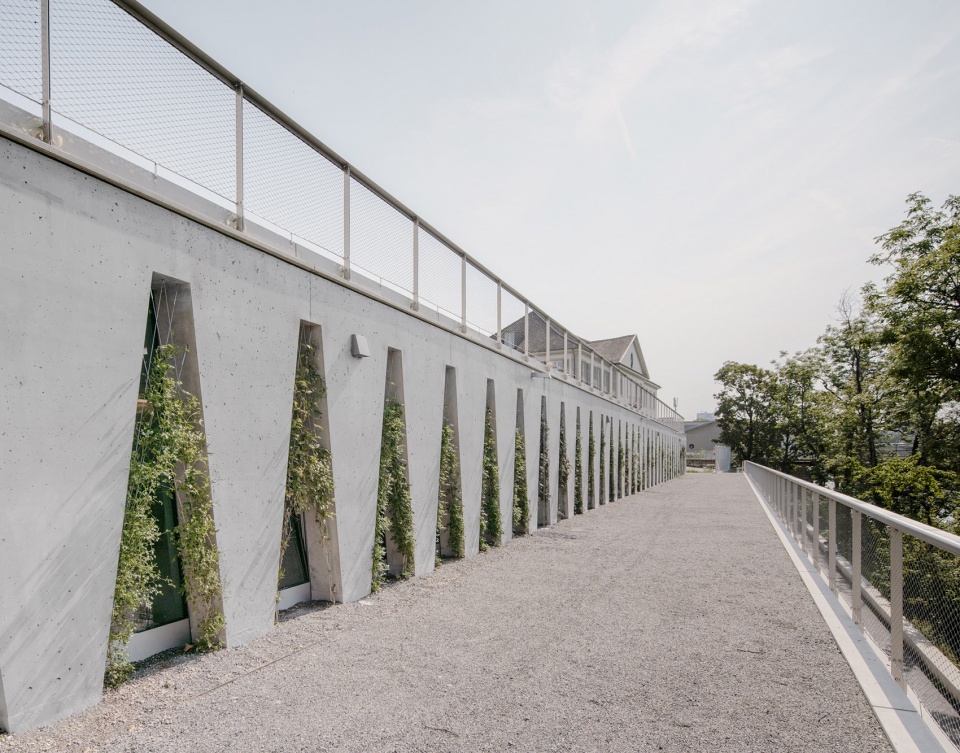 tanzhaus zurich by barozzi veiga
