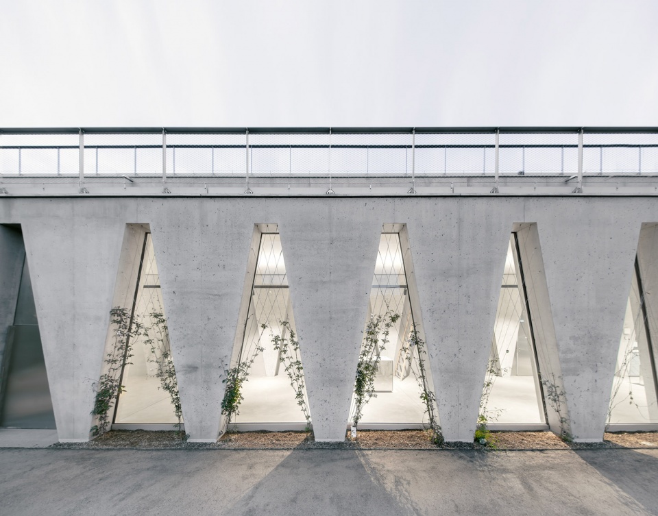 tanzhaus zurich by barozzi veiga