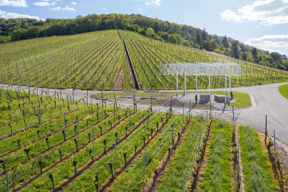 belvedere a pavilion in fellbach for the remstal gartenschau 2019 by barkow leibinger