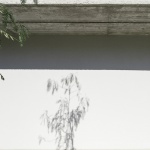Gloma 住宅，葡萄牙 / Bruno Dias Arquitectura