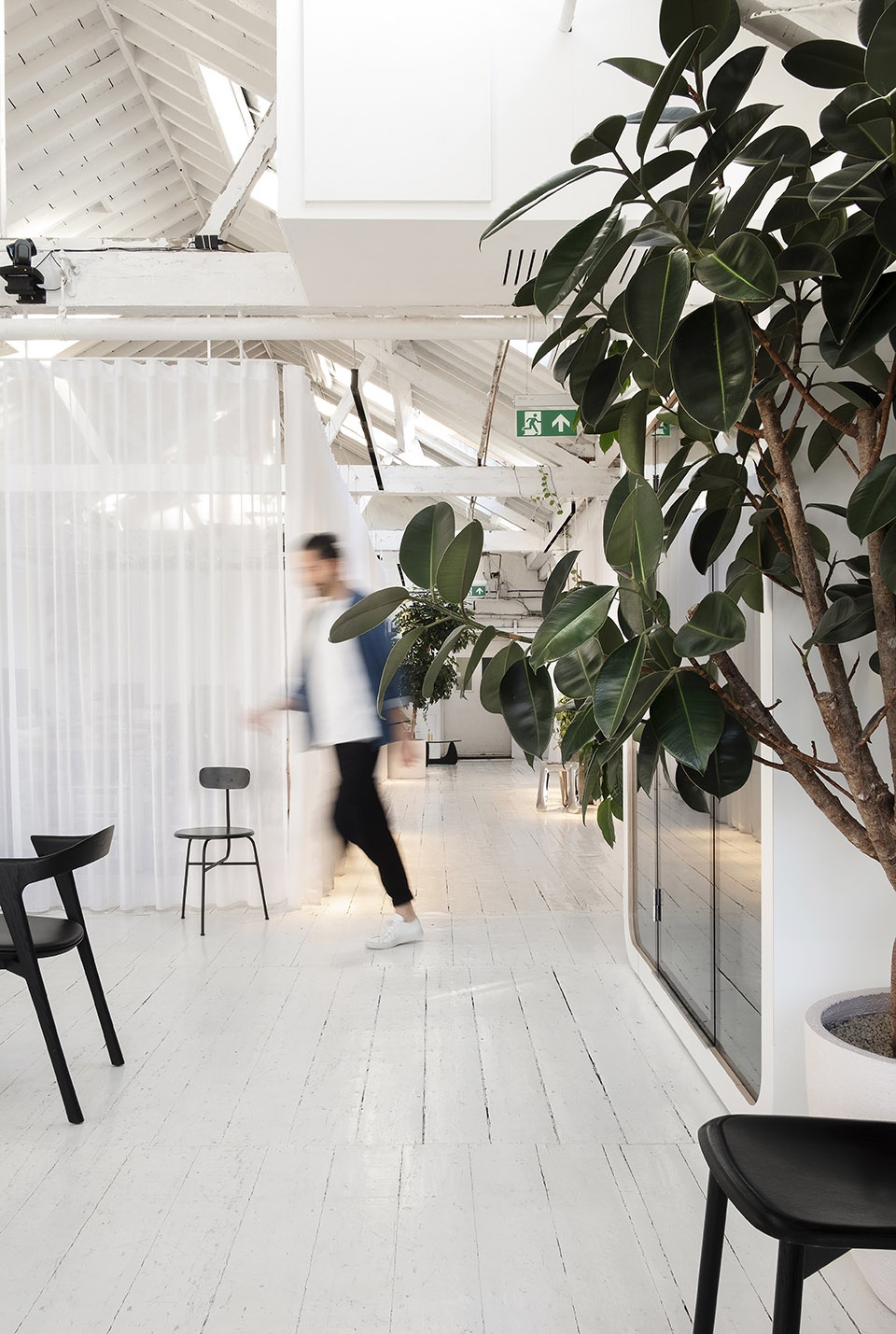 a new workplace of clippings by hut