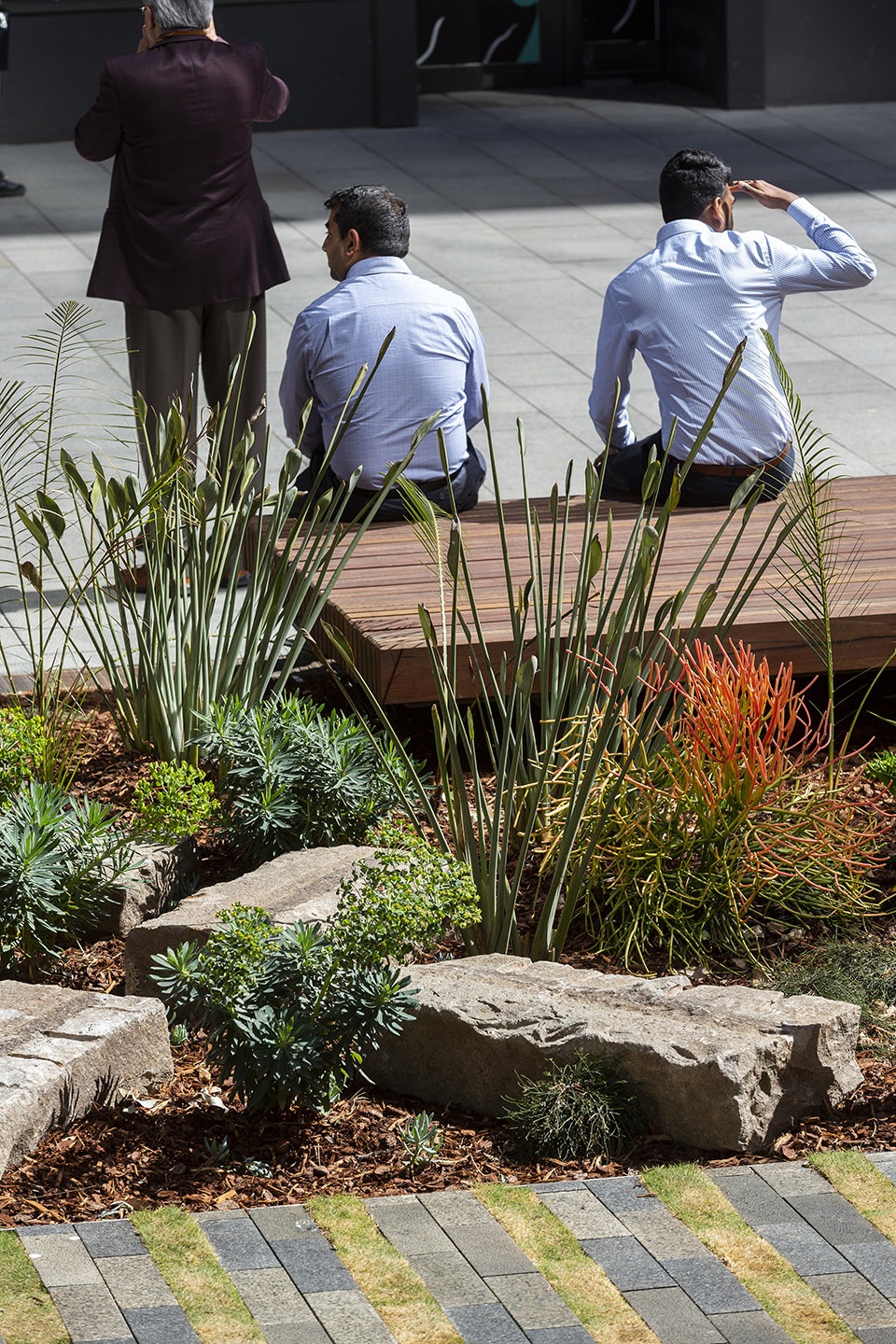 darling square a public space for all by aspect studios