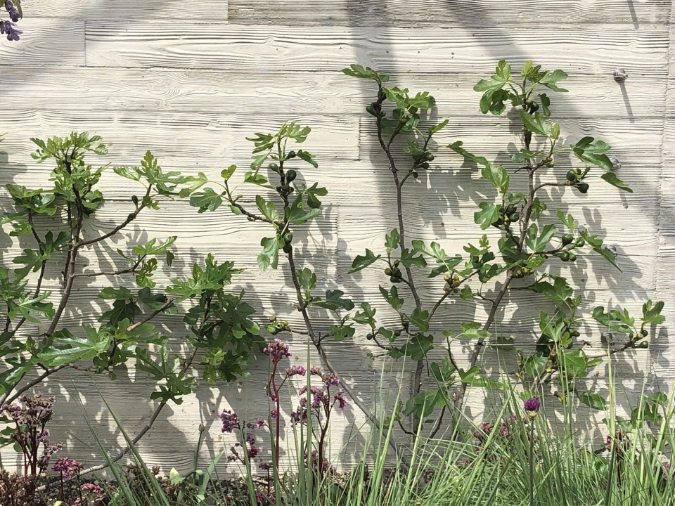 the garden at 120 fenchurch avenue london uk by latz partner
