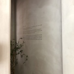 SET HOUSE美学空间，广州 / SET studio