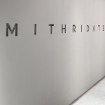MITHRIDATE HAUTE COUTURE品牌概念店， 深圳 / 睿上形素室内设计