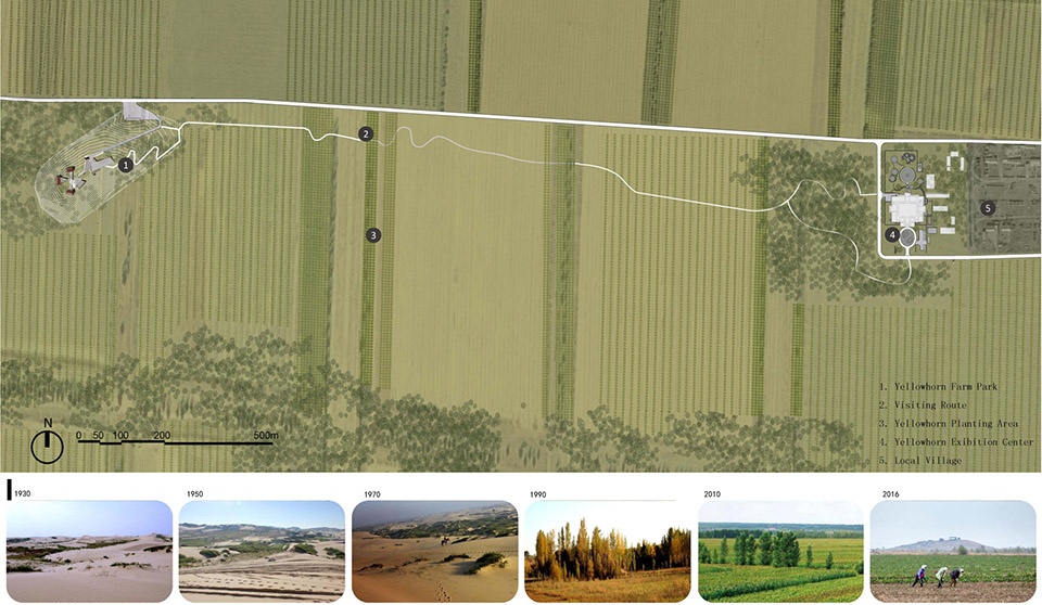 2019 asla general design award of honor yellowhorn farm park battling the threat of desertification by china construction design group