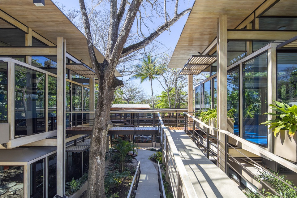 the athletic center by studio saxe