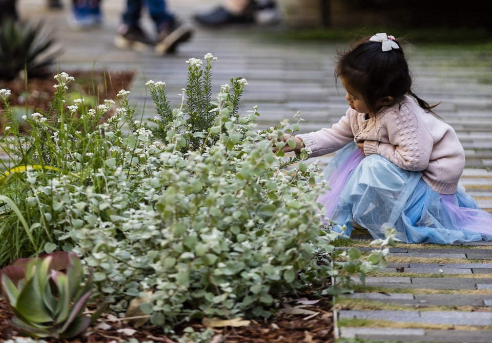 darling square a public space for all by aspect studios