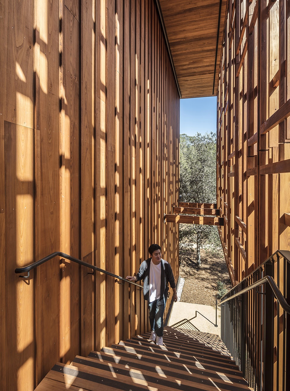stanford university denning house by ennead