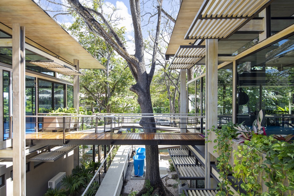 the athletic center by studio saxe