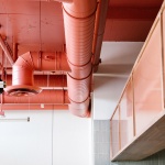 Salted Pig by Project M Plus