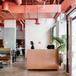 Salted Pig by Project M Plus