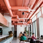 Salted Pig by Project M Plus