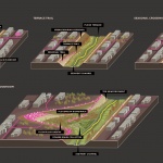 2019 ASLA分析规划类荣誉奖：阿拉米达溪公共沉积物计划，旧金山 / SCAPE