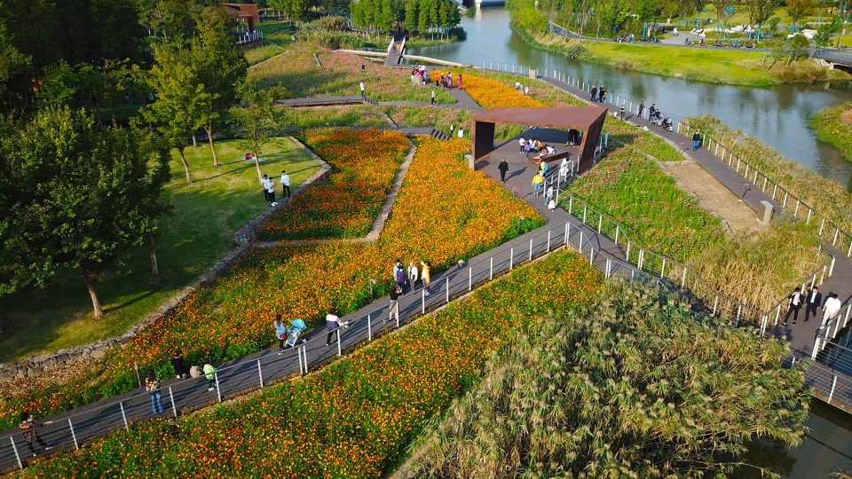 Ningbo Eastern New Town Ecological Corridor Phase III by Turenscape