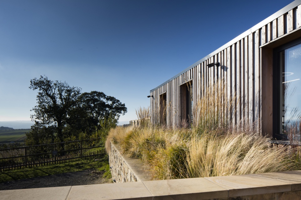 meadows nursery by mailendesign