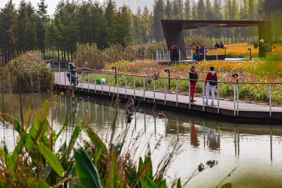 Ningbo Eastern New Town Ecological Corridor Phase III by Turenscape