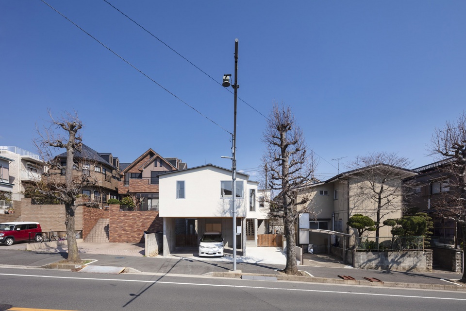 acquired stilt house by dog