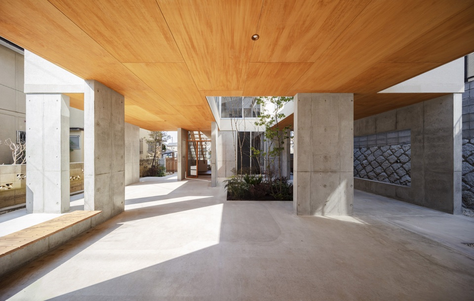 acquired stilt house by dog