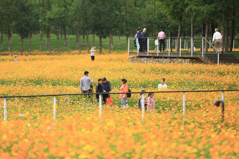Ningbo Eastern New Town Ecological Corridor Phase III by Turenscape