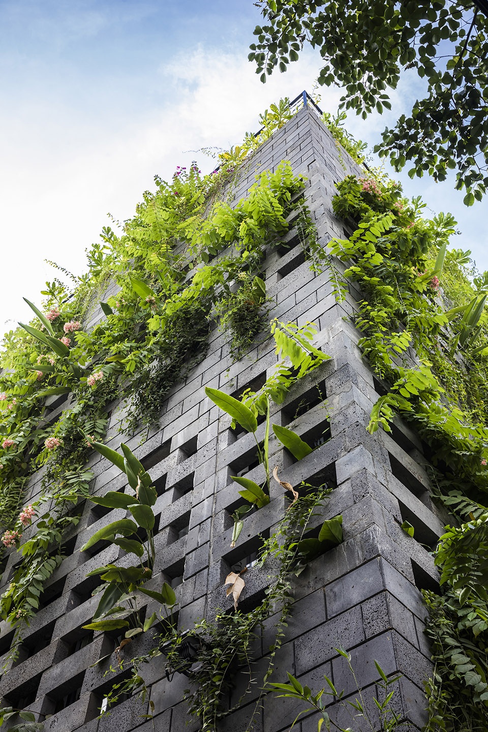 Babylon garden spa renovation Viet Nam by Ho Khue Architects Studio