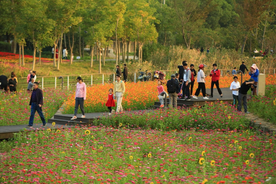 Ningbo Eastern New Town Ecological Corridor Phase III by Turenscape