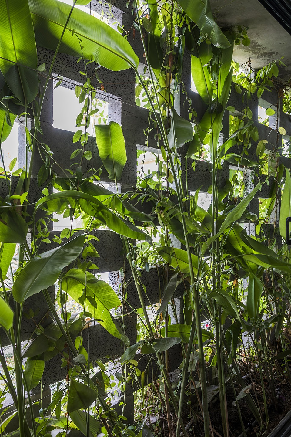 Babylon garden spa renovation Viet Nam by Ho Khue Architects Studio