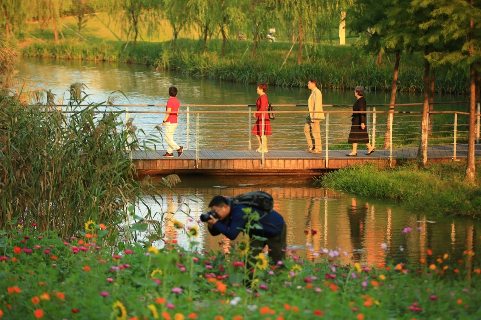 Ningbo Eastern New Town Ecological Corridor Phase III by Turenscape