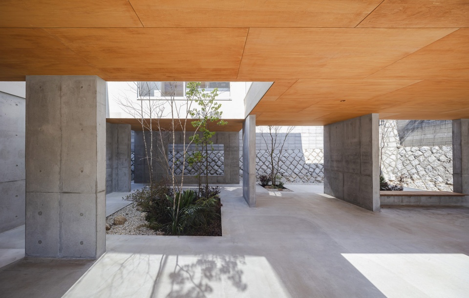 acquired stilt house by dog