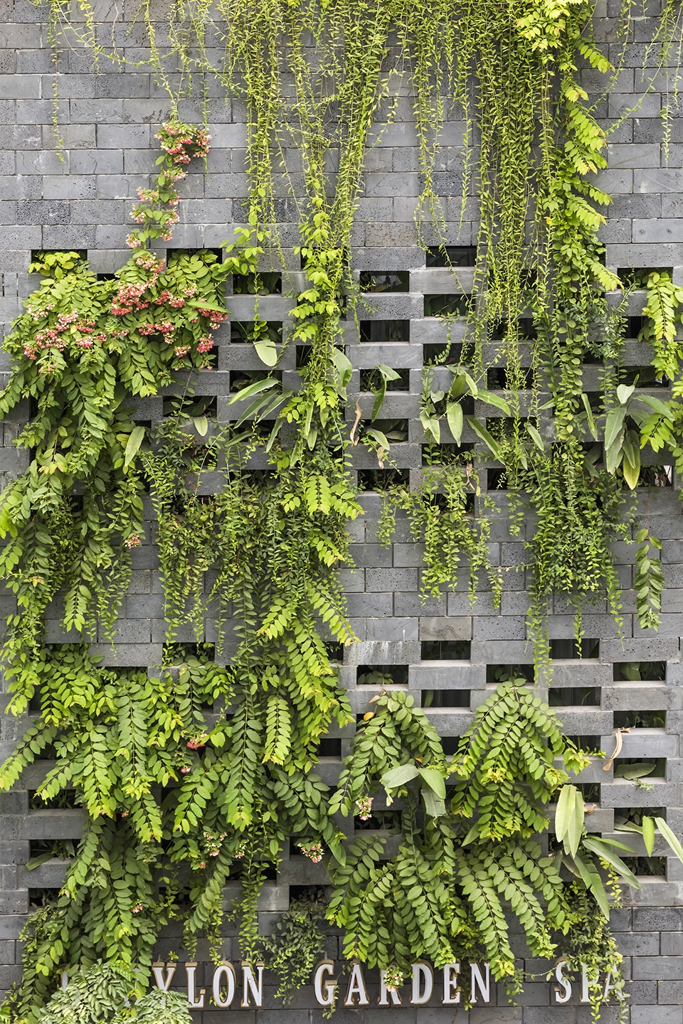Babylon garden spa renovation Viet Nam by Ho Khue Architects Studio
