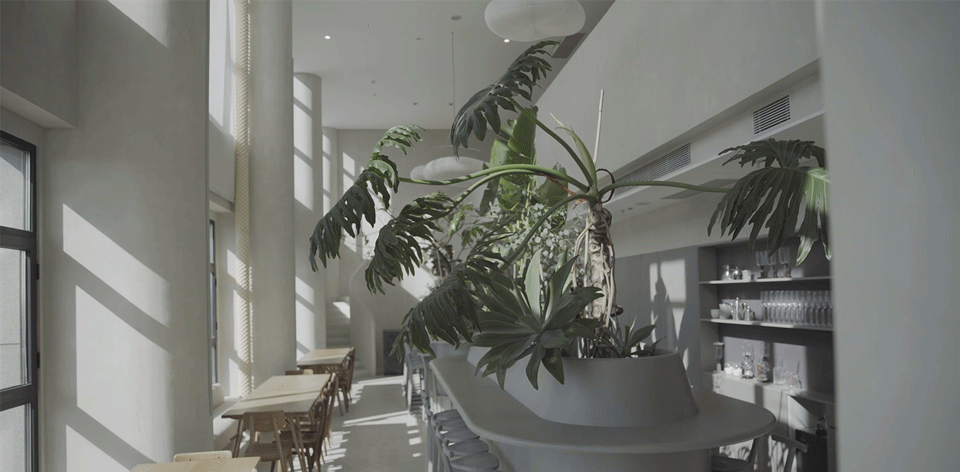 Fnji New Office FID