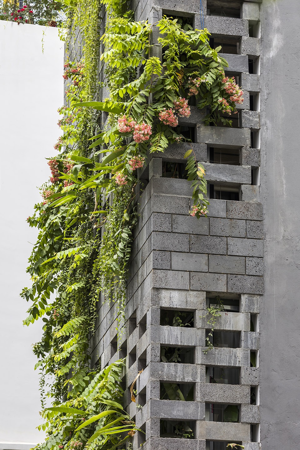 Babylon garden spa renovation Viet Nam by Ho Khue Architects Studio