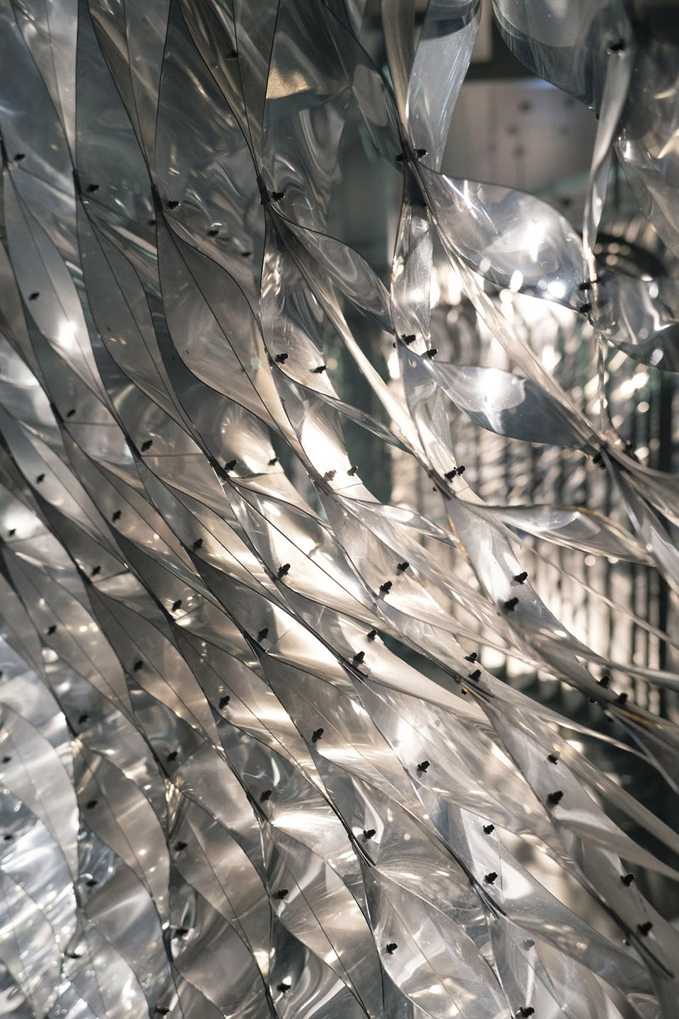 Walls for Amit Aggarwal flagship store India by Orproject