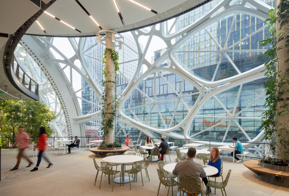 the amazon spheres by nbbj