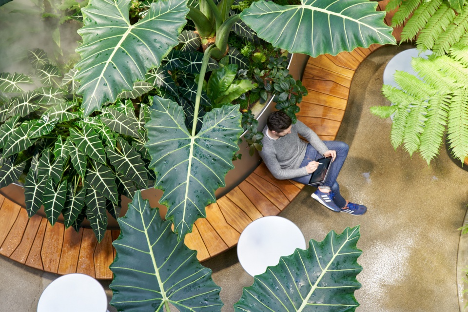 the amazon spheres by nbbj