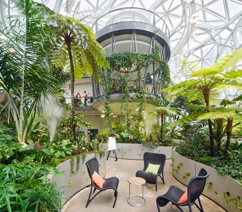the amazon spheres by nbbj