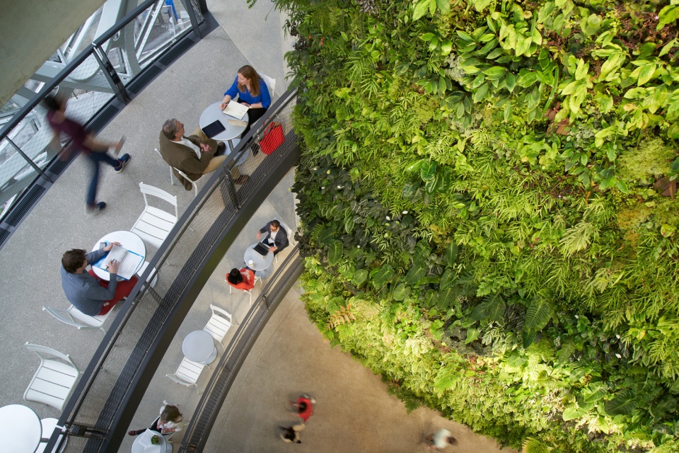 the amazon spheres by nbbj