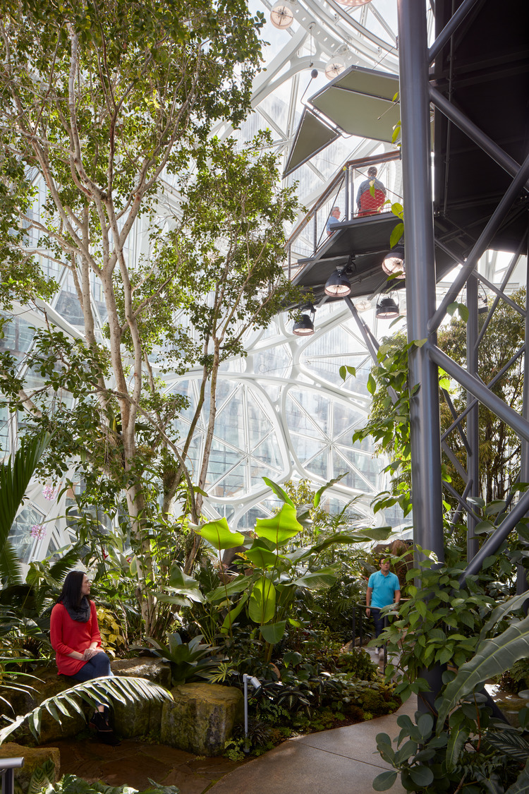 the amazon spheres by nbbj