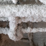 Sonora酒吧餐厅，悉尼 / Guru Projects