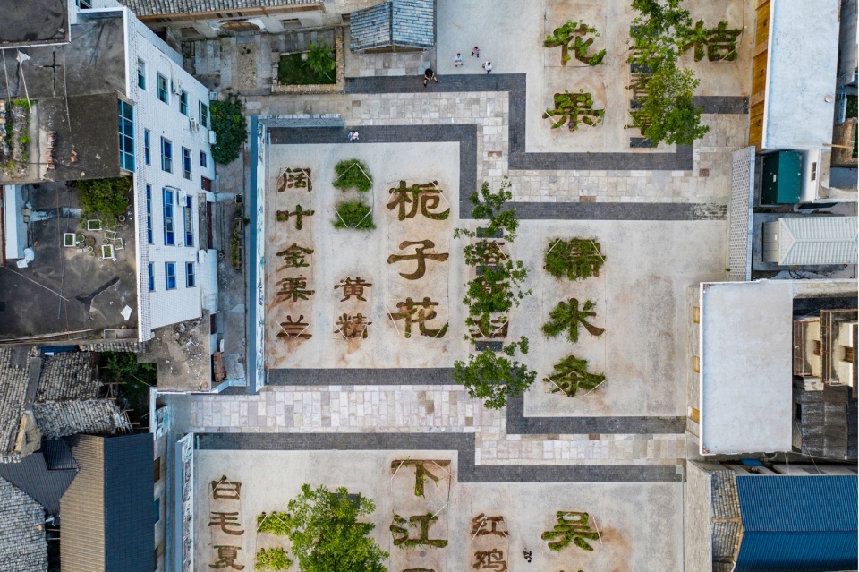 Chinese Herbal Garden DnA