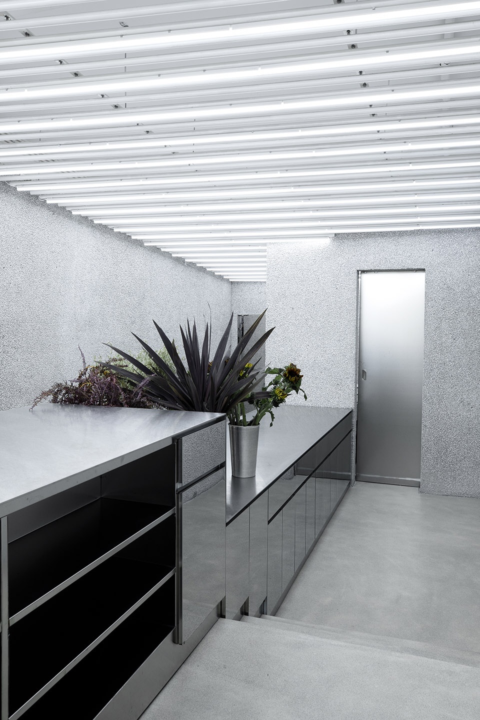 R SOCIETY 0321studio